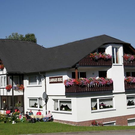 Landhaus Behle Willingen  Exteriér fotografie
